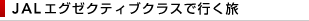 JAL�G�O�[�N�e�B�u�N���X�ōs����