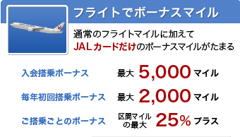 �t���C�g�Ń{�[�i�X�}�C��
�ʏ�̃t���C�g�}�C���ɉ�����JAL�J�[�h�����̃{�[�i�X�}�C�����v���[���g