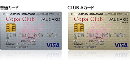 JAL�J�[�h�EVisa