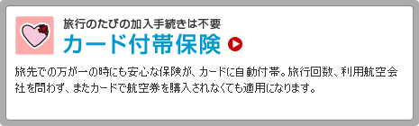 �J�[�h�t�ѕی�