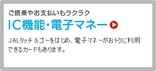 IC�@�\�E�d�q�}�l�[