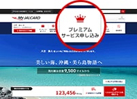 �I�����C���ł��\������