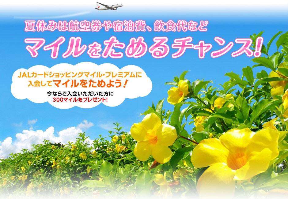 JAL�J�[�h�V���b�s���O�}�C���E�v���~�A������L�����y�[��
�����̂��������Ń}�C����2�{���܂�I
���������Ȃ�300�}�C���v���[���g�I
�L�����y�[�����ԁF2013�N5��15���`2013�N7��31���i����\�����������^Web��t���j
�J�[�h�N����3,150�~�v���X���āA�uJAL�J�[�h�V���b�s���O�}�C���E�v���~�A���v�ɓ����ƁA
�V���b�s���O�}�C����2�{���܂邩����T�����ɃO�b�Ƌ߂Â��܂��I
���\�����ݕ��@�͂�����