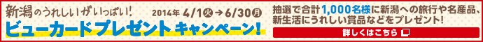 JAL�J�[�hSuica�������p�̊F����