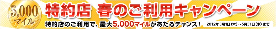����X �t�̂����p�L�����y�[��