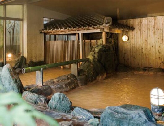 ���I�V���C�̋�����i���񂲂�����j�B�u����v�ƌĂ΂��Ԓ��F�ŕs�����ȗL�n����Ɠ��̂����́A���򂩂�̎悵�����́B