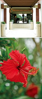 �i��1�j�썑�̗΂�]�ސ��������̃��r�[�B�؍ݒ���24���ԑΉ��̃o�g���[�T�[�r�X�Ȃǃ��������N��̃T�[�r�X���B�i��2�j�K�[�f���ɂ͉���ŗL��̃n�C�r�X�J�X���B