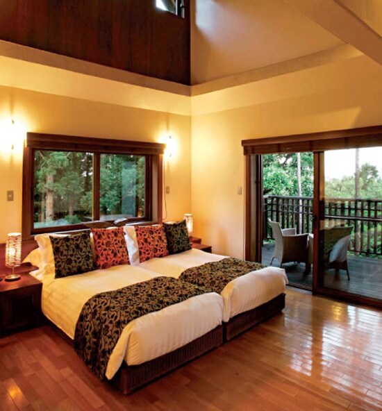 �J��̗΂��z���ŋP���B�΂Ɉ͂܂ꂽ�ˌ��̃T���h�����B���B