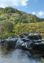 �����̓��𑶕��Ɋ��\�ł���W�]�I�V���C�A�u�V�V�̓��v�B