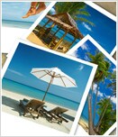 �p�b�P�[�W�c�A�[