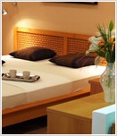 ����X �ʔN���T