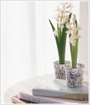 ���̂ق��̊���