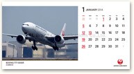JAL FLEET�J�����_�[�i��㔻�j