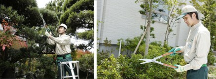 ��؂̙���T�[�r�X