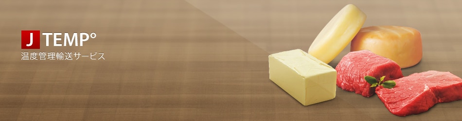 J TEMP�� ���x�Ǘ��A���T�[�r�X