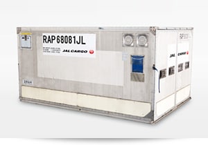 �ۗ�R���e�i RAPt2