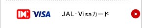 JAL�EVisa�J�[�h