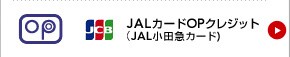 JAL�J�[�hOP�N���W�b�g�iJAL���c�}�J�[�h�j