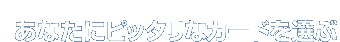���Ȃ��Ƀs�b�^���ȃJ�[�h��I��