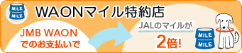 WAON�}�C������X