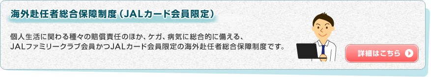 �C�O���C�ґ����ۏᐧ�x�iJAL�J�[�h�������j�l�����Ɋւ���X�̔����ӔC�̂ق��A�P�K�A�a�C�ɑ����I�ɔ�����AJAL�t�@�~���[�N���u�������JAL�J�[�h�������̊C�O���C�ґ����ۏᐧ�x�ł��B