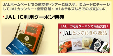 JAL�z�[���y�[�W�ł̍q�󌔁E�c�A�[���w����AIC�J�[�h�Ƀ`���[�W����JAL�J�E���^�[�E��`�X�܁EJAL�z�e���Y�Ȃǂł̂��x������JAL IC���p�N�[�|�����T