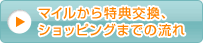 �}�C��������T�����A�V���b�s���O�܂ł̗���