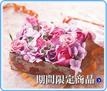 ���Ԍ��菤�i