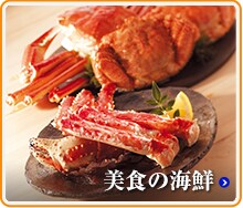 ���H�̊C�N