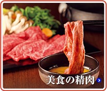 ���H�̐���