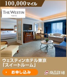 100,000�}�C�� �E�F�X�e�B���z�e�������u�X�C�[�g���[���v