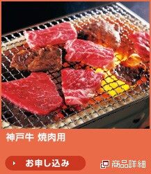 �_�ˋ� �ē��p