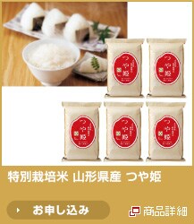 ���ʍ͔|�� �R�`���Y ��P