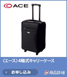 <�G�[�X>4�֎��L�����[�P�[�X