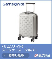 <�T���\�i�C�g>�X�[�c�P�[�X�@�V���o�[