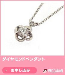 �_�C�������h�y���_���g