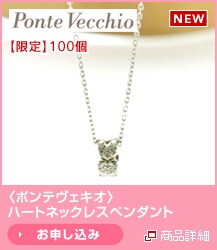 �q�|���e���F�L�I�r�n�[�g�l�b�N���X�y���_���g�@����100��