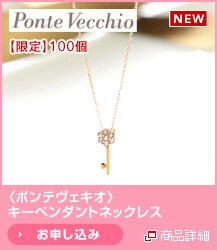 �q�|���e���F�L�I�r�L�[�y���_���g�l�b�N���X�@����100��