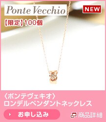 �q�|���e���F�L�I�r�����f���y���_���g�l�b�N���X�@����100��