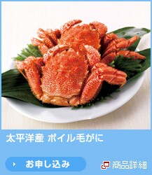 �����m�Y �{�C���т���