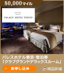 80,000�}�C�� �p���X�z�e�������E�h�����u�N���u�O�����h�f���b�N�X���[���v