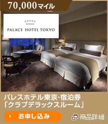 70,000�}�C�� �p���X�z�e�������E�h�����u�N���u�f���b�N�X���[���v