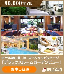 80,000�}�C�� �z�e���֎R������ JAL�X�y�V�����p�b�P�[�W�u�f���b�N�X���[���K�[�f���r���[