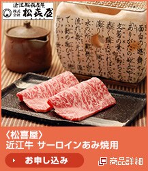 <���쉮>�ߍ]�� �T�[���C�����ݏėp