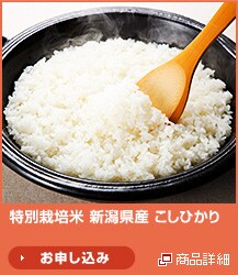 ���ʍ͔|�� �V�����Y �����Ђ���