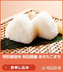 ���ʍ͔|�� �H�c���Y ���������܂�