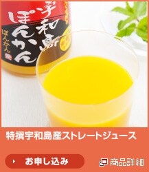 ����F�a���Y�X�g���[�g�W���[�X