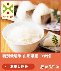 ���ʍ͔|�� �R�`���Y ��P