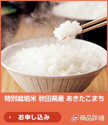 ���ʍ͔|�� �H�c���Y ���������܂�