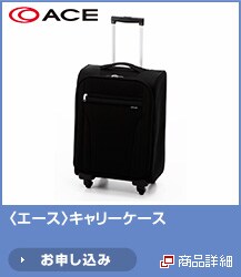 <�G�[�X>�L�����[�P�[�X